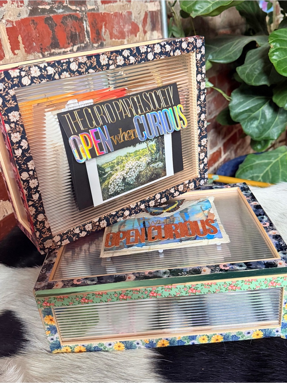 The Curio Parcel Society: Treasure Edition of Open When Curious - Keepsake Box